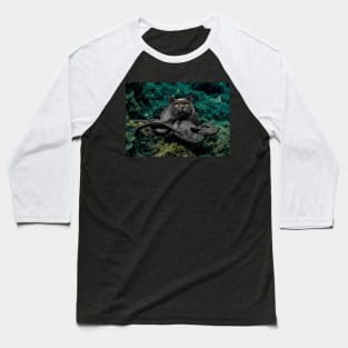 Cathulu Baseball T-Shirt